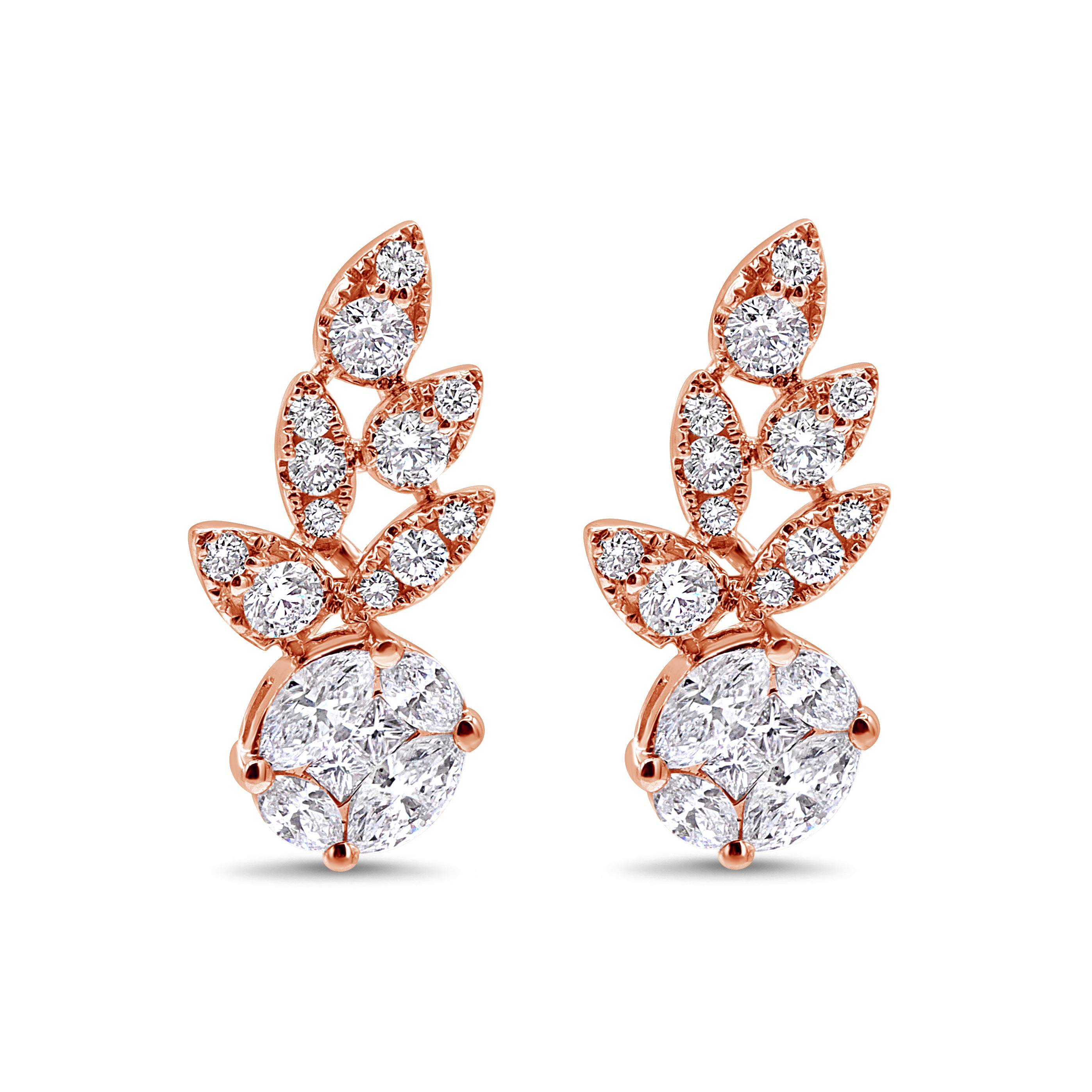 Diamond Leaf Climbers