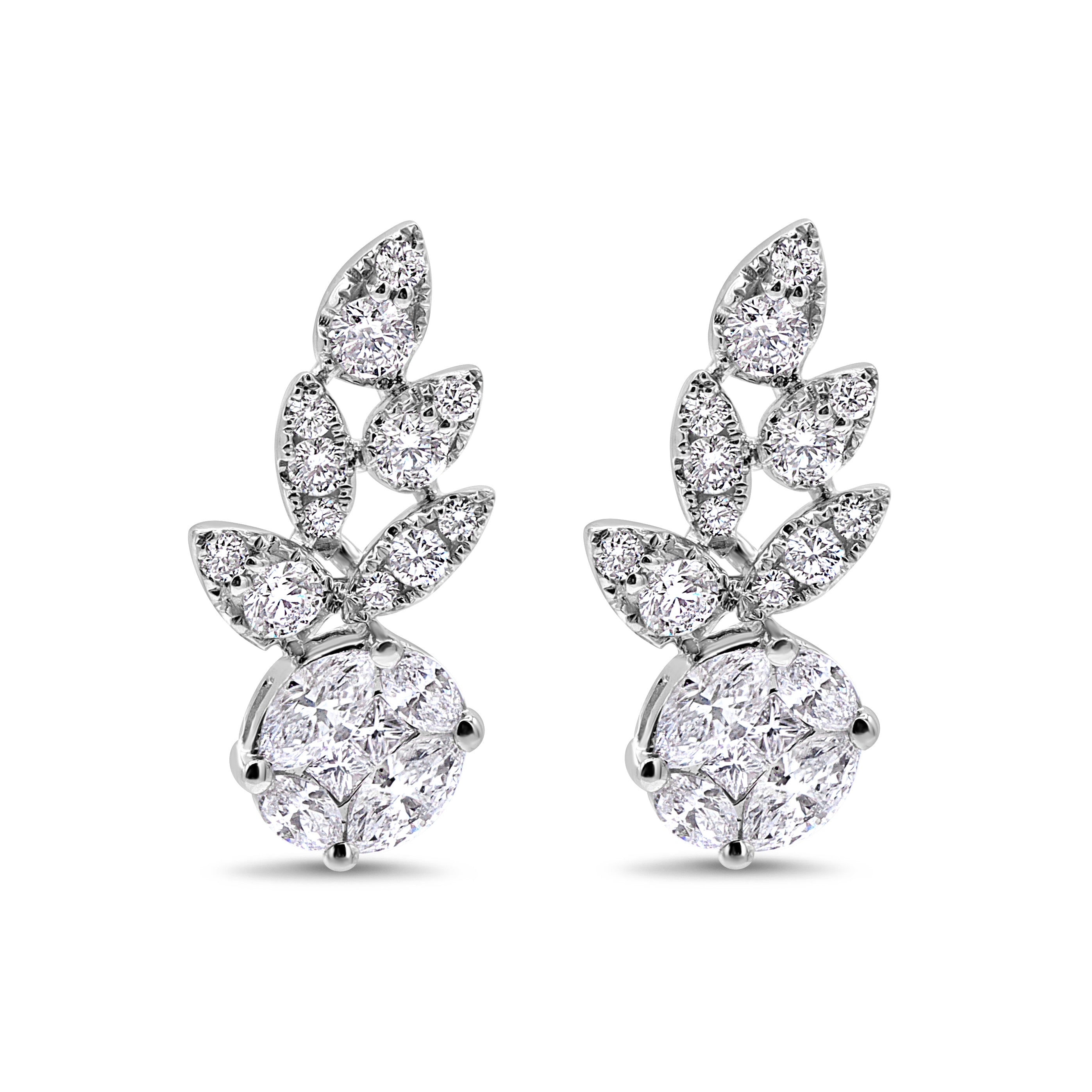 Diamond Leaf Climbers