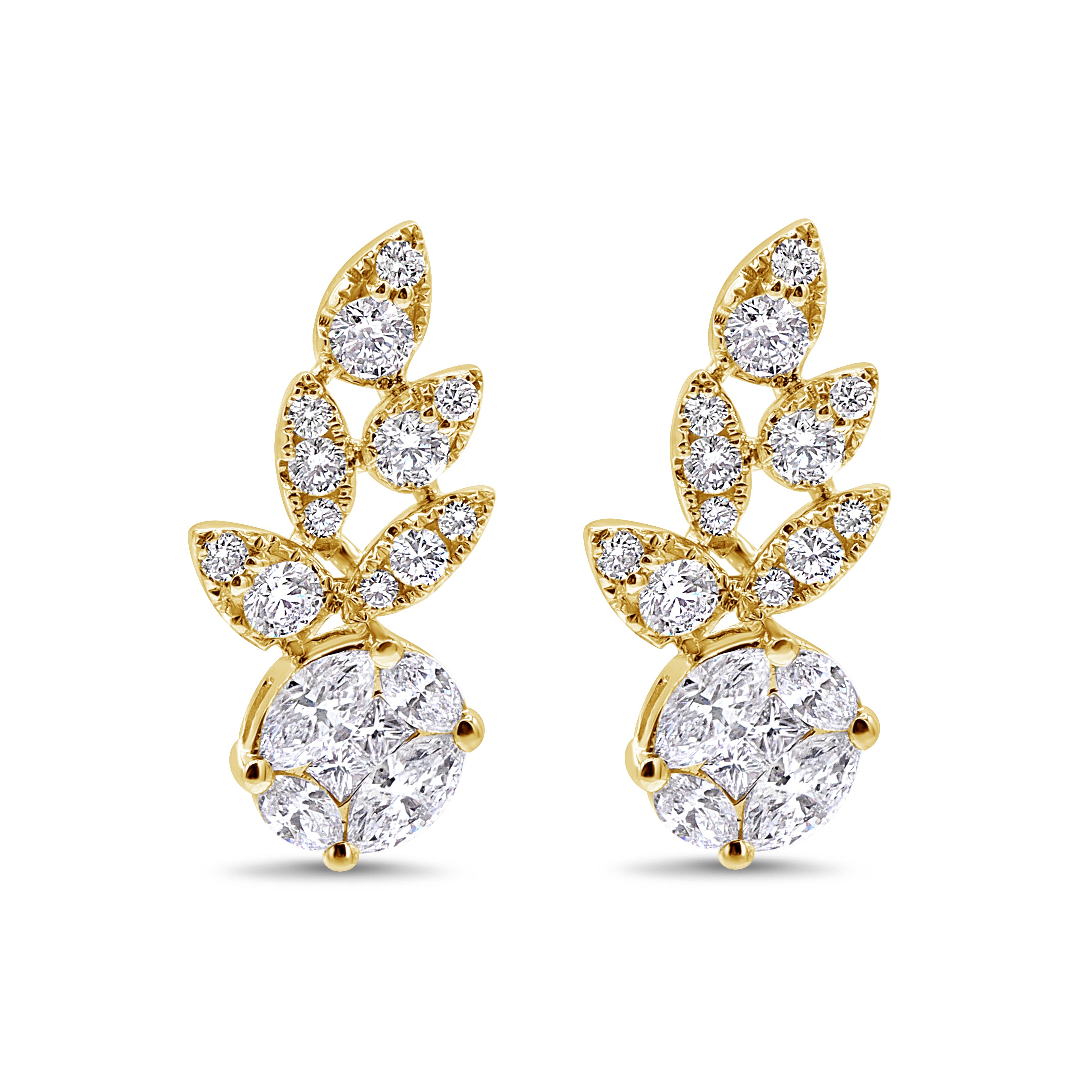 Diamond Leaf Climbers